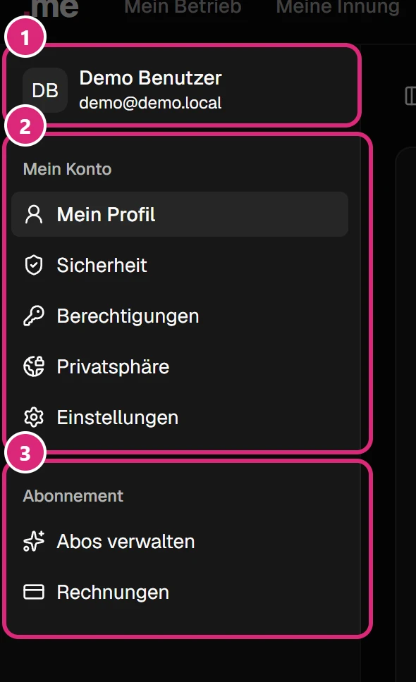 Menü links auf den Seiten deines Kontos: dein Bild mit Name und E-Mail (1), die Gruppe 'Mein Konto' (2) und die Gruppe 'Abonnement' (3)