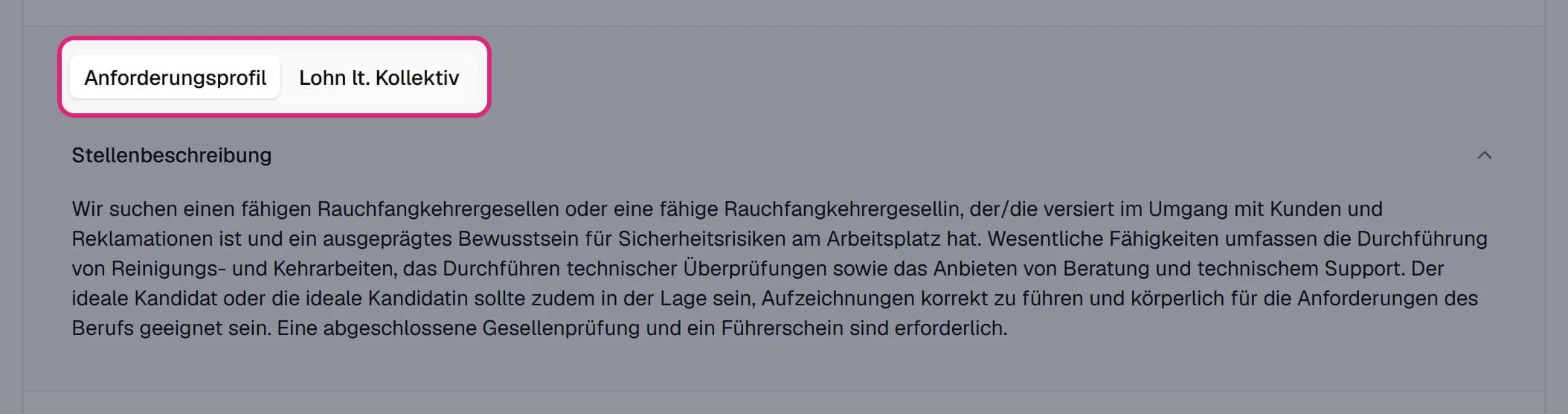 Aufgeklappte Stelle mit den Reitern 'Anforderungsprofil' und 'Lohn lt. Kollektiv' und der Stellenbeschreibung